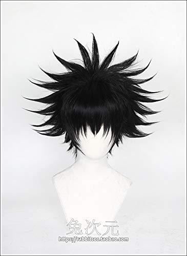 Amazon.co.jp: 呪術廻戦 伏黒恵 ○コスプレ ウィッグ : ホビー